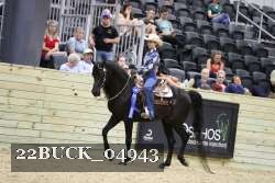 22BUCK_04943 proof