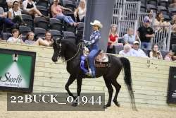 22BUCK_04944 proof