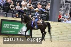 22BUCK_04945 proof