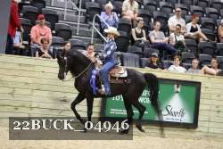 22BUCK_04946 proof
