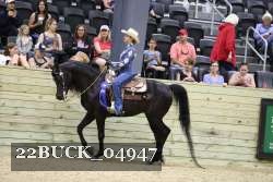 22BUCK_04947 proof