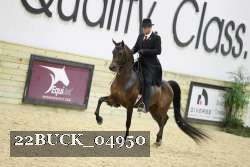 22BUCK_04950 proof