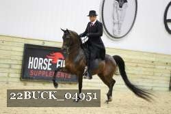 22BUCK_04951 proof