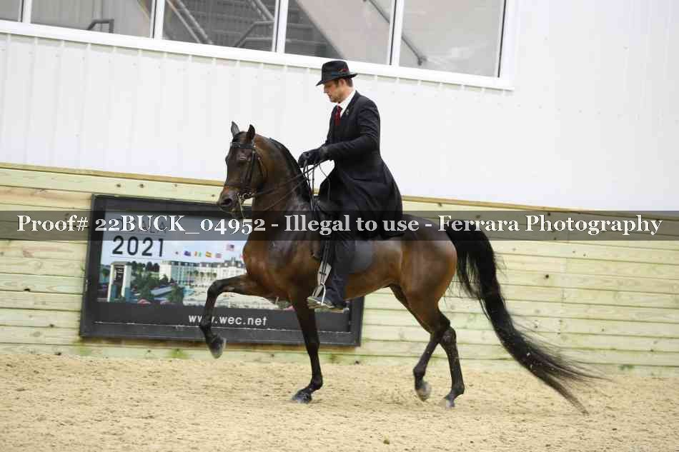 Proof 22BUCK_04952