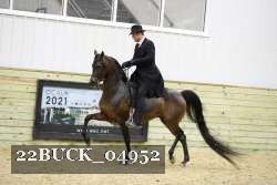 22BUCK_04952 proof