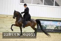 22BUCK_04953 proof