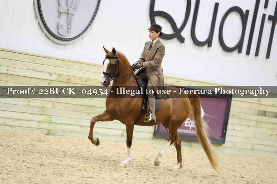 Proof 22BUCK_04954