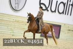 22BUCK_04954 proof