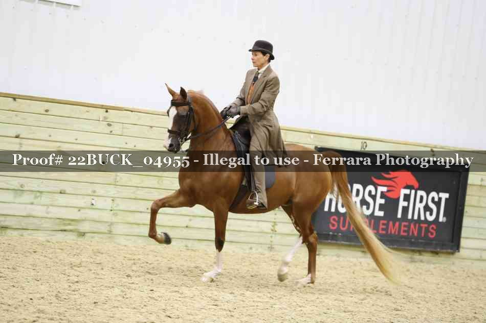 Proof 22BUCK_04955