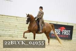 22BUCK_04955 proof