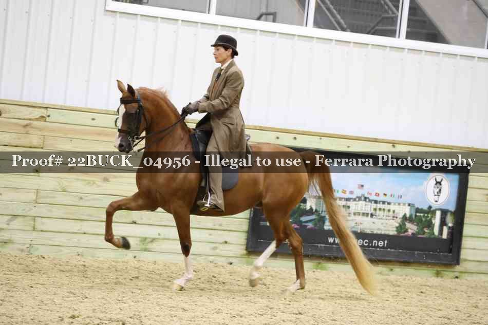 Proof 22BUCK_04956