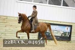 22BUCK_04956 proof