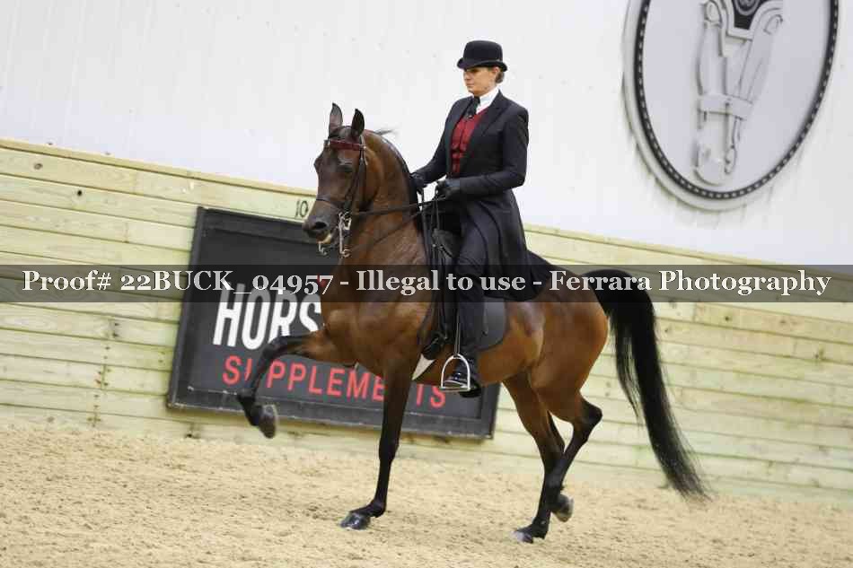 Proof 22BUCK_04957