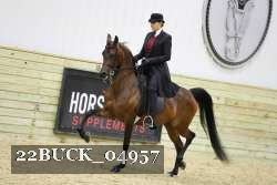 22BUCK_04957 proof