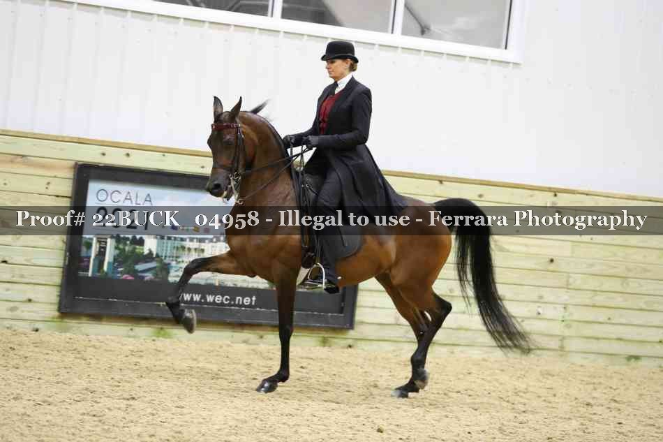 Proof 22BUCK_04958