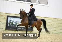 22BUCK_04958 proof