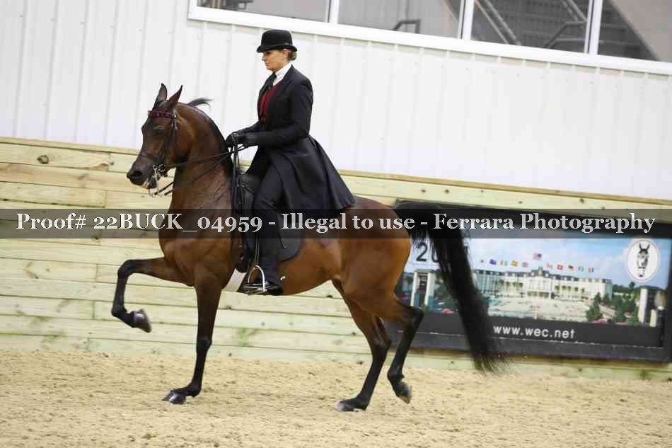 Proof 22BUCK_04959