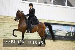 22BUCK_04959 proof
