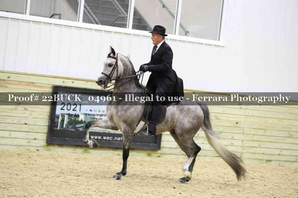 Proof 22BUCK_04961