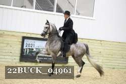 22BUCK_04961 proof