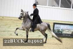 22BUCK_04962 proof