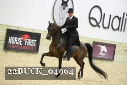 22BUCK_04964 proof