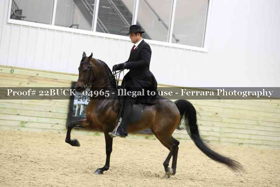 Proof 22BUCK_04965