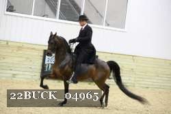 22BUCK_04965 proof