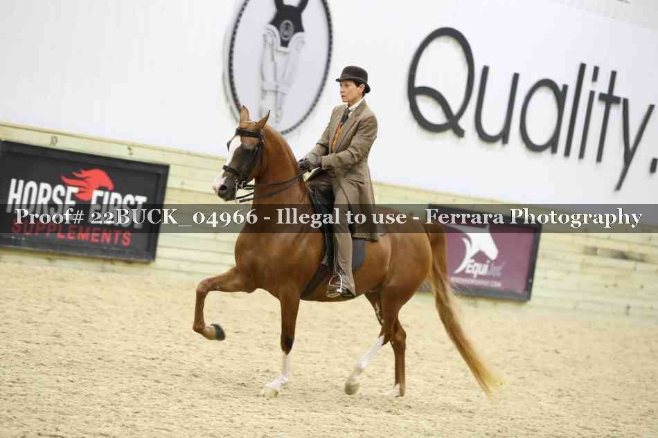 Proof 22BUCK_04966