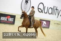 22BUCK_04966 proof