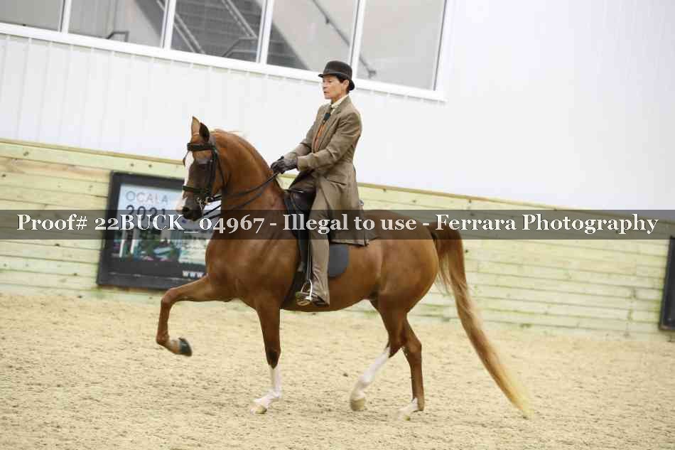 Proof 22BUCK_04967