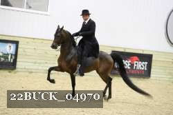 22BUCK_04970 proof