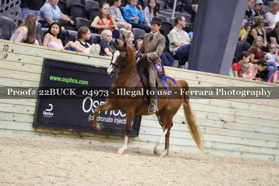 Proof 22BUCK_04973
