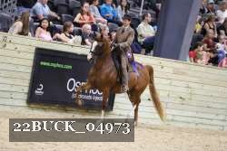22BUCK_04973 proof