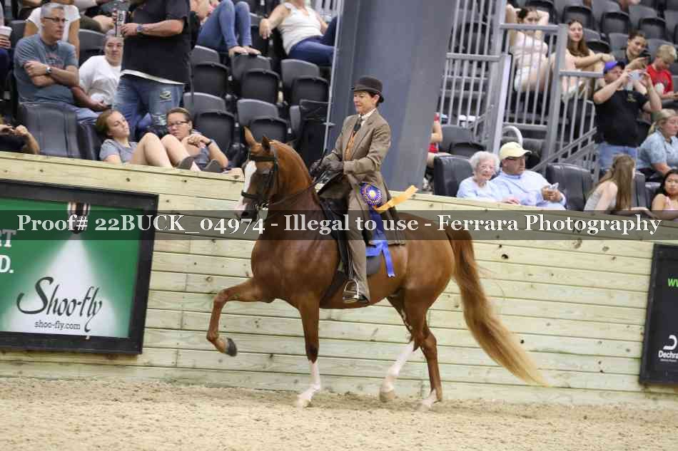 Proof 22BUCK_04974