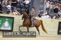22BUCK_04974 proof
