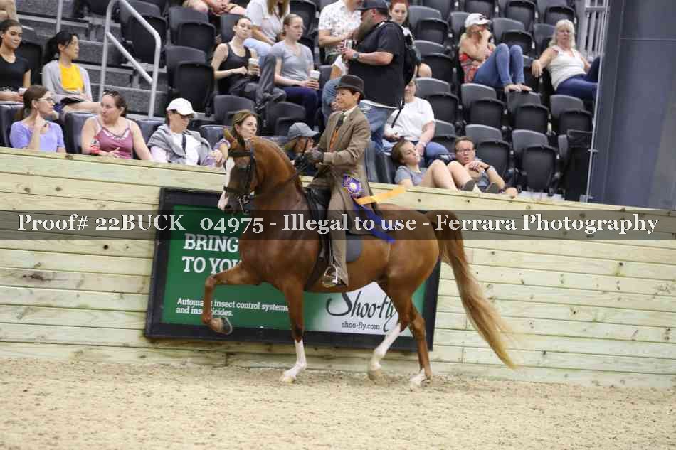 Proof 22BUCK_04975