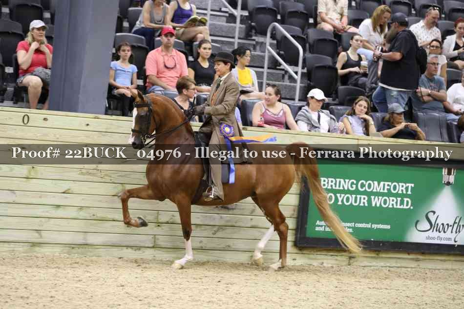 Proof 22BUCK_04976