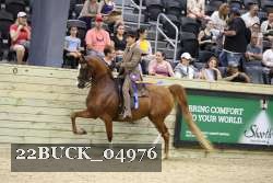 22BUCK_04976 proof