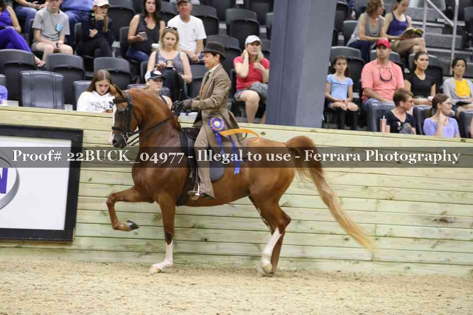 Proof 22BUCK_04977