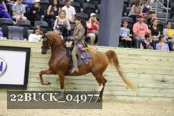 22BUCK_04977 proof