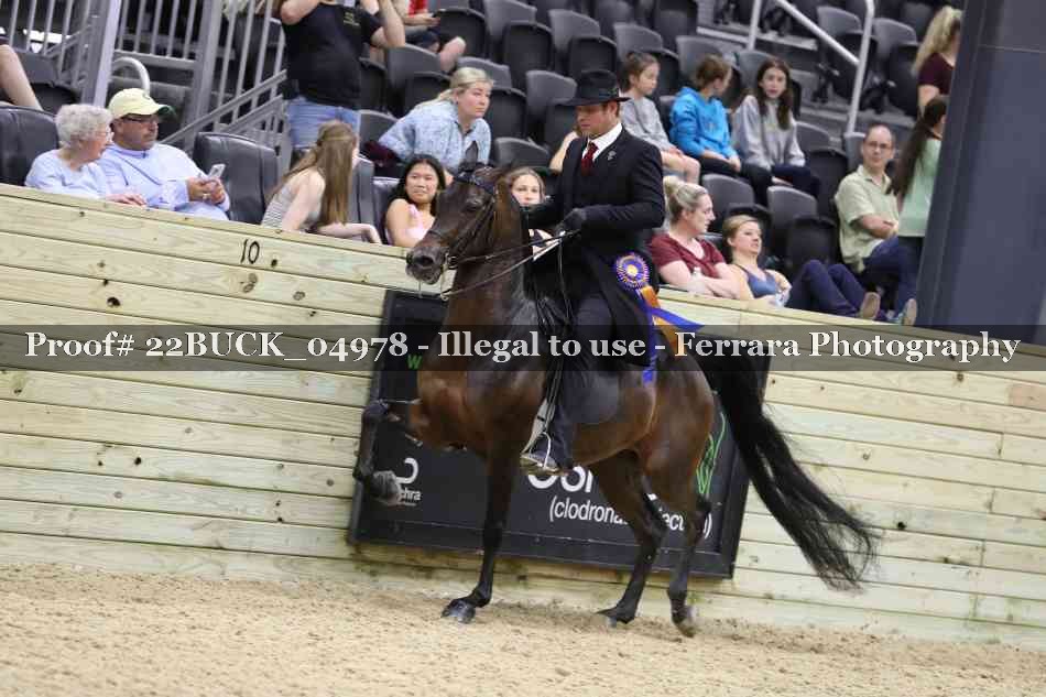 Proof 22BUCK_04978