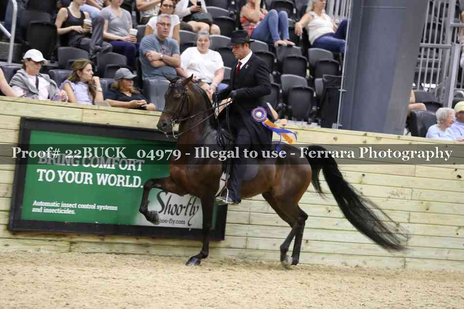 Proof 22BUCK_04979