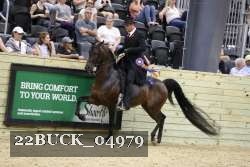 22BUCK_04979 proof