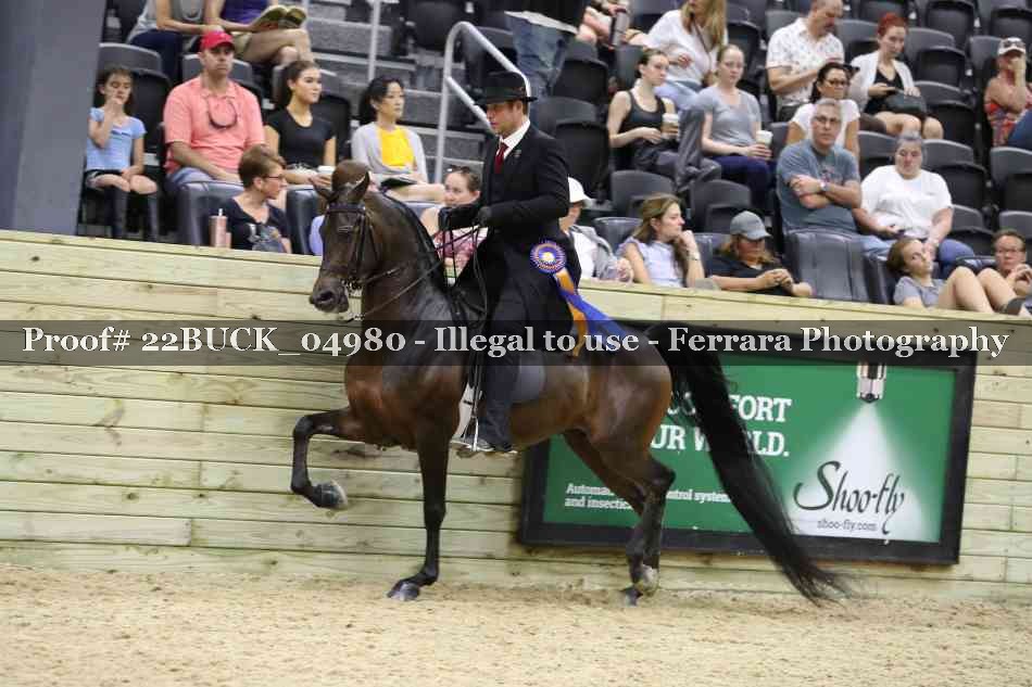Proof 22BUCK_04980