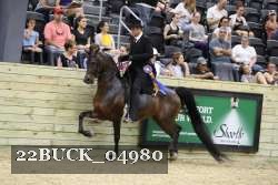 22BUCK_04980 proof