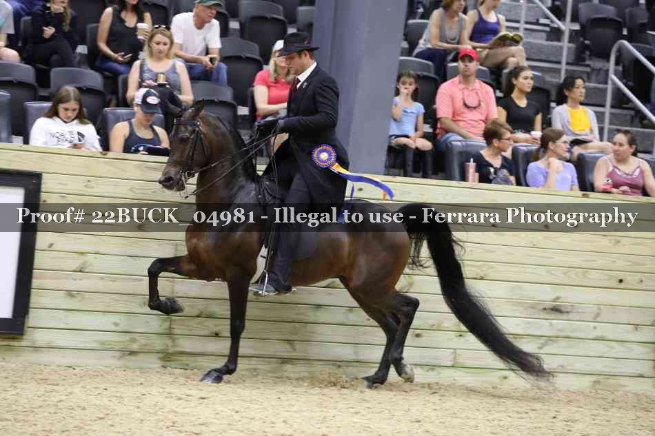 Proof 22BUCK_04981