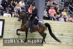 22BUCK_04981 proof