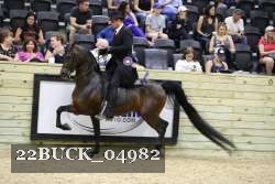 22BUCK_04982 proof