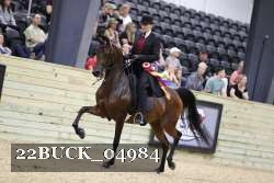 22BUCK_04984 proof
